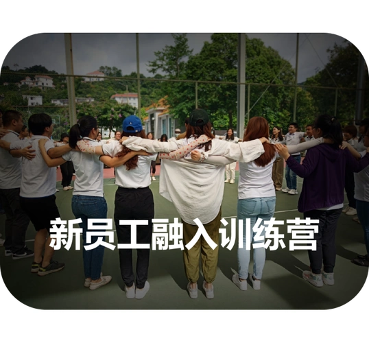 新员工融入课程